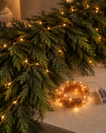 Garland Lights